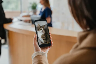 Main tenant un smartphone affichant un appel vidéo montrant un chat, fond de réception vétérinaire flou